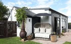 Garden Studio In Biggar